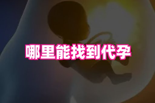 61助孕网 2